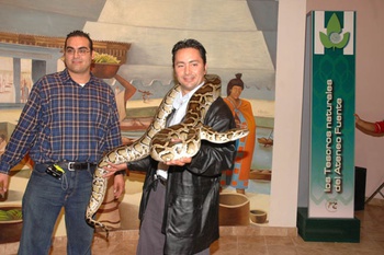 Invita Plaza de las Culturas a visitar exposición de Reptiles Vivos y Librería Educal
