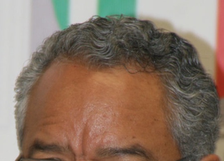 José Luis Flores Mendes