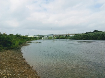 El Río Bravo. Al fondo el Puente Internacional.
