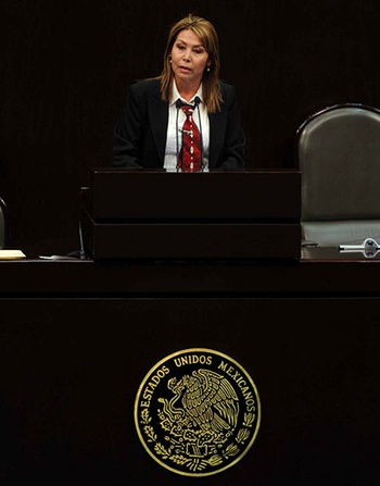 Diputada federal Diana Patricia González Soto.