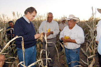 Un éxito la agricultura por contrato en Coahuila