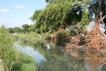La maleza, árboles y basura que existen dentro del Arroyo Las Vacas, contribuyeron al desbordamiento de este afluente durante el Huracán Álex.