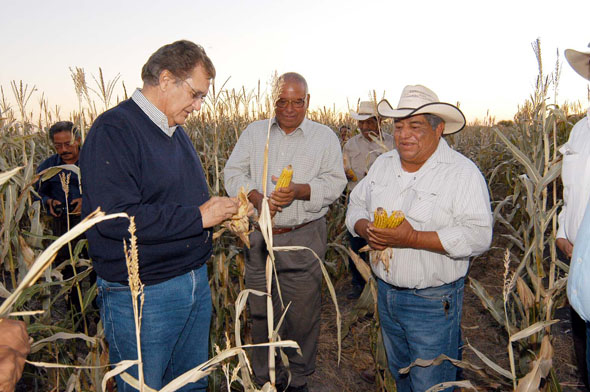 Un éxito la agricultura por contrato en Coahuila
