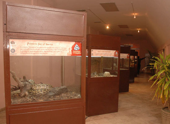 Invita Plaza de las Culturas a visitar exposición de Reptiles Vivos y Librería Educal