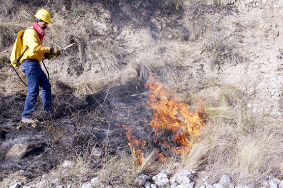 Realiza secretaría del medio ambiente quemas preventivas para evitar incendios forestales