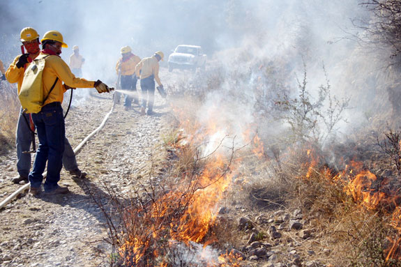 Realiza secretaría del medio ambiente quemas preventivas para evitar incendios forestales