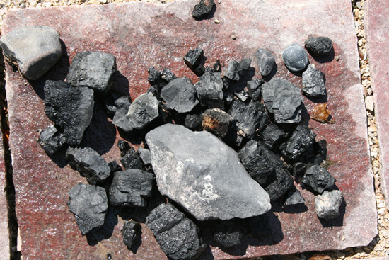 Carbón mineral de la región de Múzquiz