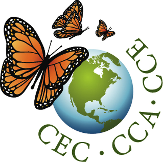 Promueve CCA empleos "verdes" en Internet