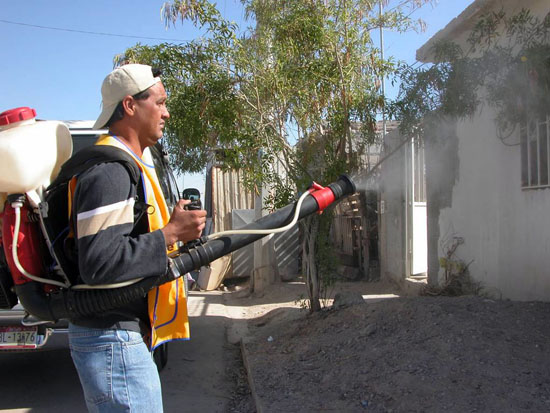 Coahuila libre de casos de dengue  