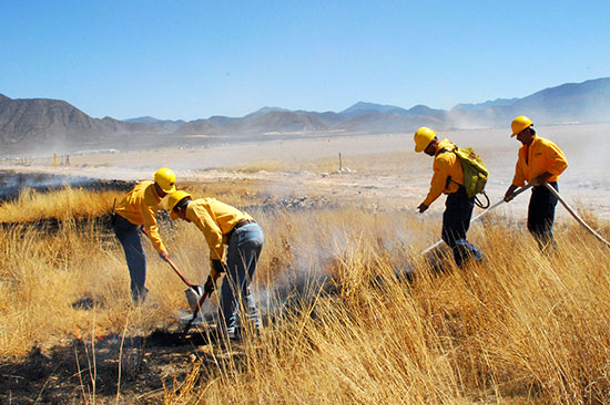 Coahuila reforzará campaña contra incendios forestales