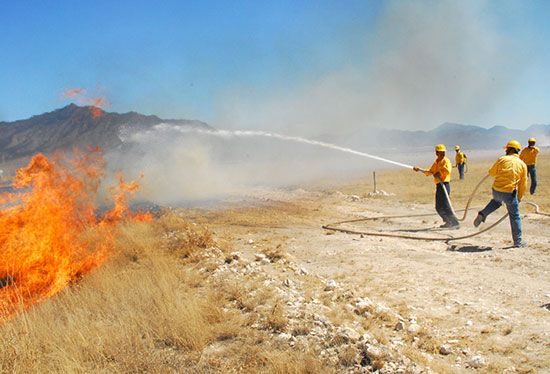 En Coahuila, la prevención y combate de incendios forestales es permanente
