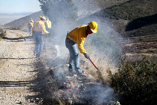 En Coahuila, la prevención y combate de incendios forestales es permanente
