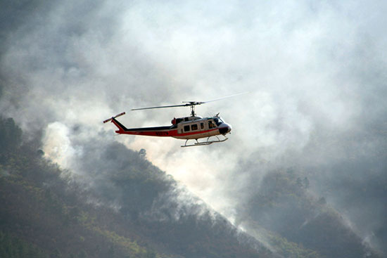 Con 452 brigadistas se combaten incendios forestales en Acuña, Ocampo y Múzquiz