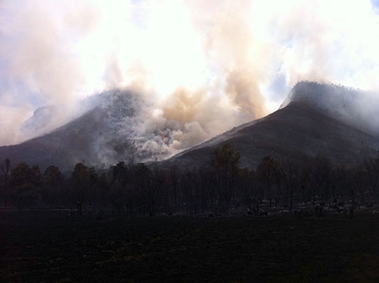 Con 452 brigadistas se combaten incendios forestales en Acuña, Ocampo y Múzquiz