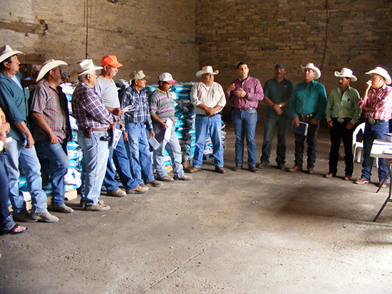El gobierno de Jorge Torres López respalda la siembra de 800 hectáreas de sorgo forrajero en Jiménez