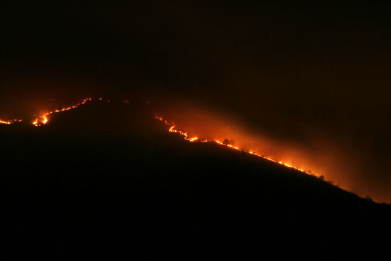 17 aeronaves combaten los incendios forestales en Coahuila