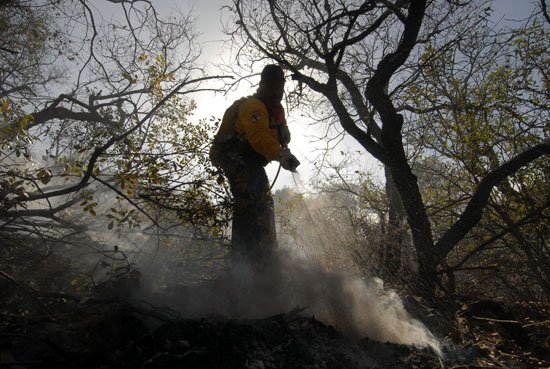 17 aeronaves combaten los incendios forestales en Coahuila