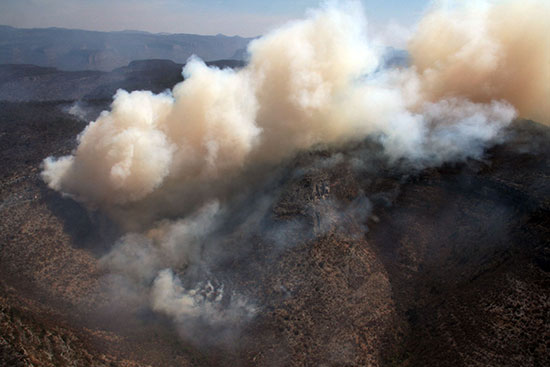Brigadistas logran controlar en un 50 por ciento el incendio forestal en la serranía de Múzquiz