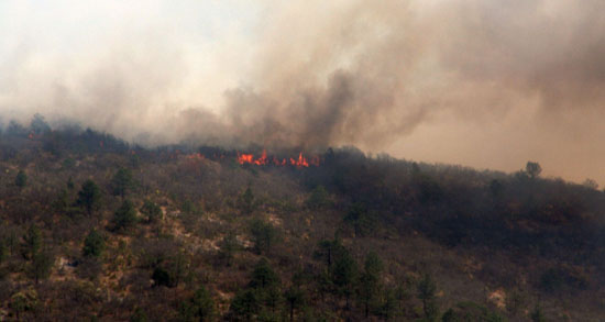 Constantes combates contra incendios forestales