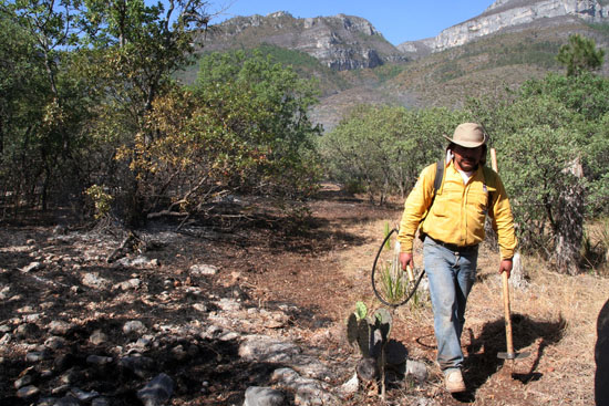 El décimo incendio forestal en Coahuila se presentó en el área de “El Portal de San Antonio”, en Arteaga