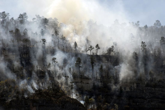El Gobierno de Coahuila ha destinado alrededor de 50 MDP en el combate a incendios forestales