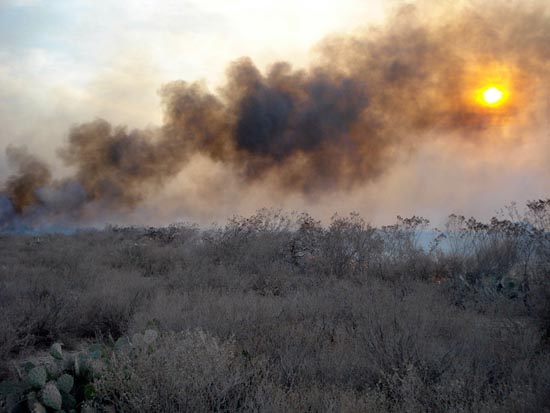 Lluvias anticipan próximo control de incendios forestales en Coahuila