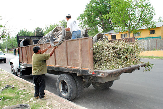 Reforestarán Acuña con 10 mil árboles en este 2011