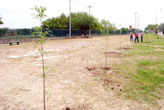 Reforestarán Acuña con 10 mil árboles en este 2011