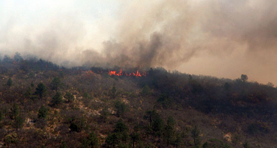 Se mantiene lucha frontal contra incendios forestales