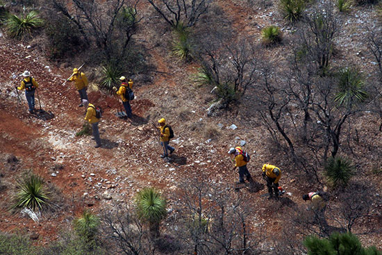 Suman 924 brigadistas que combaten incendios forestales en Coahuila