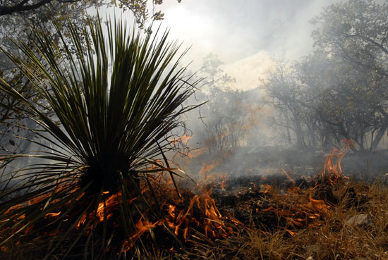 Altas temperaturas y fuertes vientos dificultan control sobre el incendio en la sierra de “Santa Rosa”