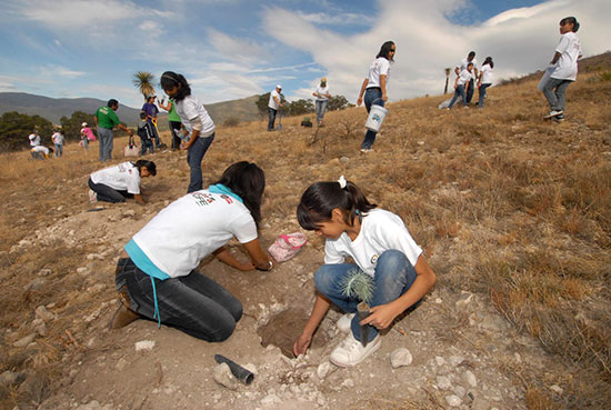 Con más de 50 mil árboles, Coahuila participa en la Jornada Nacional de Reforestación 2011