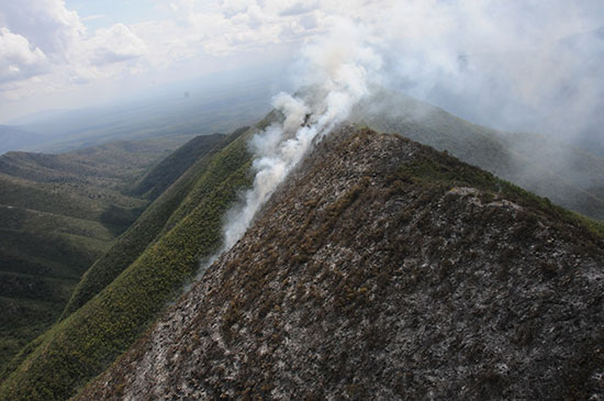 Este jueves inició ataque aéreo a incendio en la sierra de “Santa Rosa”, en Múzquiz