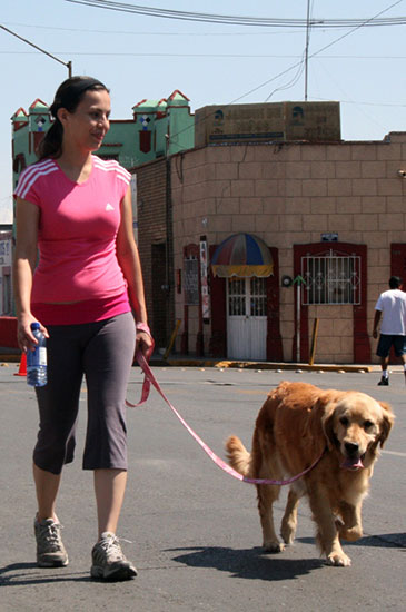 Realiza municipio más de 67 mil acciones de control canino