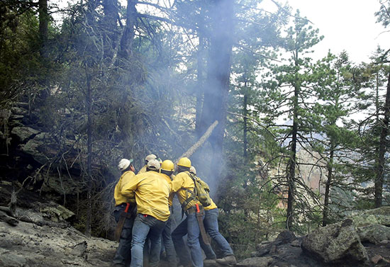 La Secretaría de Medio Ambiente cuenta con 31 millones de pesos para el combate y prevención de incendios