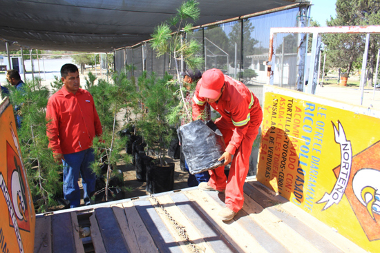 Apoyan empresas proyecto de reforestación de Saltillo 