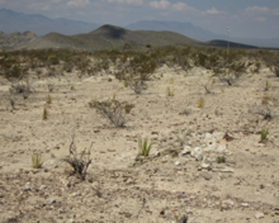  Día Mundial de Lucha contra la Desertificación y la Sequía