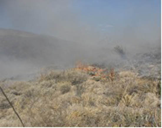 Se encuentran activos 4 incendios en Coahuila 