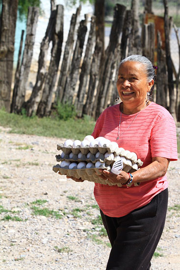 Llega a comunidades rurales beneficio de huevo a bajo precio