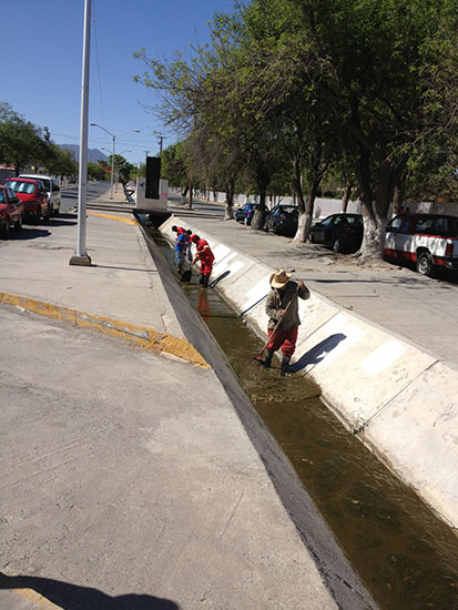 Limpia Ecología Municipal canal de Camporredondo