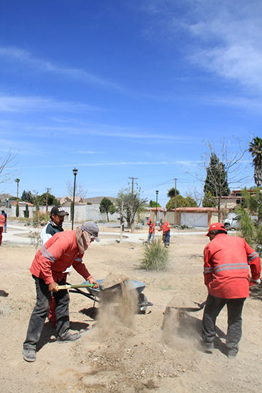 Reforesta ecología municipal plaza en Loma Blanca