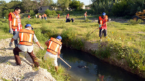 Avanza limpieza en el arroyo Las Vacas con el trabajo de cientos de voluntarios