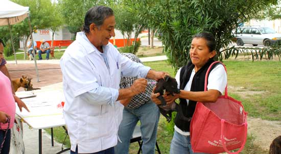 Continúa programa Salud Canina en Movimiento en colonia Cedros 