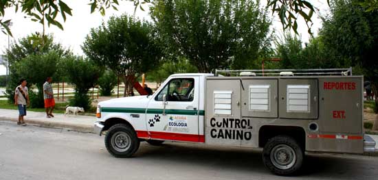 Continúa programa Salud Canina en Movimiento en colonia Cedros 