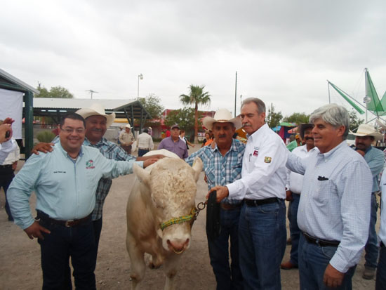 Apoya SEDER a ganaderos de la Región Centro para la adquisición de sementales 