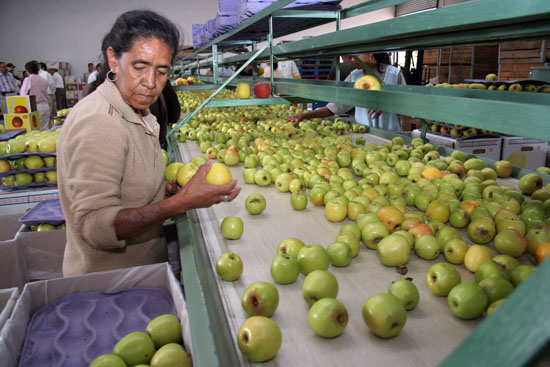 Arteaga celebrará su tradicional Feria de la Manzana  