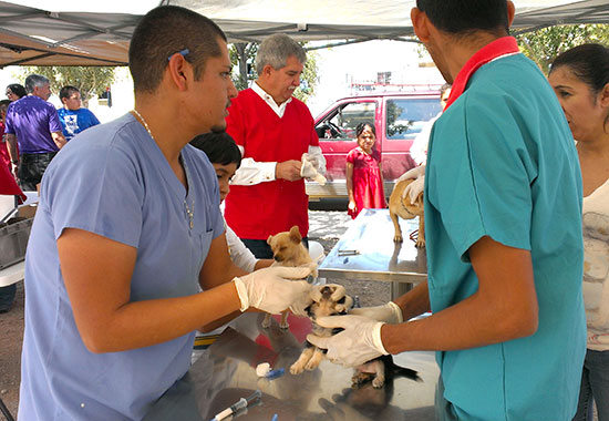 Celebra Clínica Veterinaria Chavarría 25 años de servicio a la comunidad