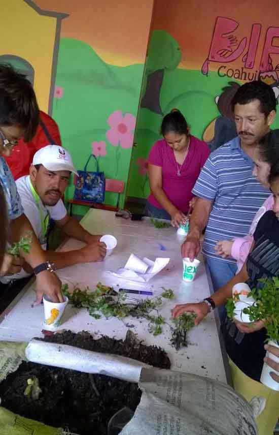Imparte DIF Ramos Arizpe talleres de jardinería 