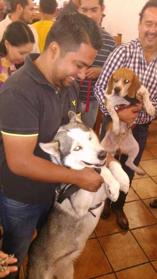 Participan autoridades en Misa donde se bendicen a las mascotas 