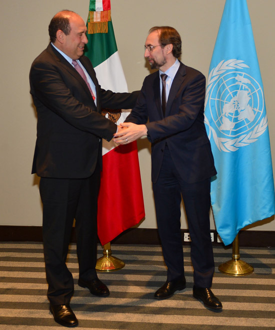 Rubén Moreira se reunió con el alto comisionado de la ONU para los derechos humanos 